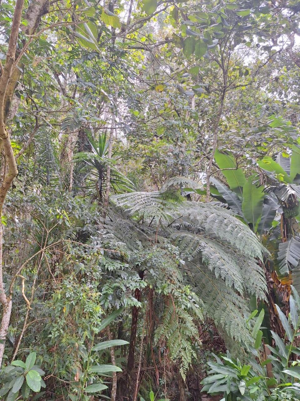 Chacara Ladeira De Pedra Villa Salesópolis Eksteriør billede